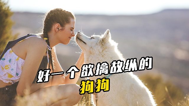 狗狗：是不养我了吗？