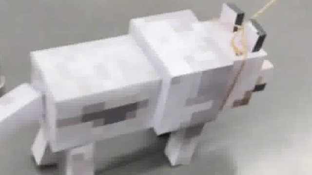 肉眼看 这狗后腿根 不太好！