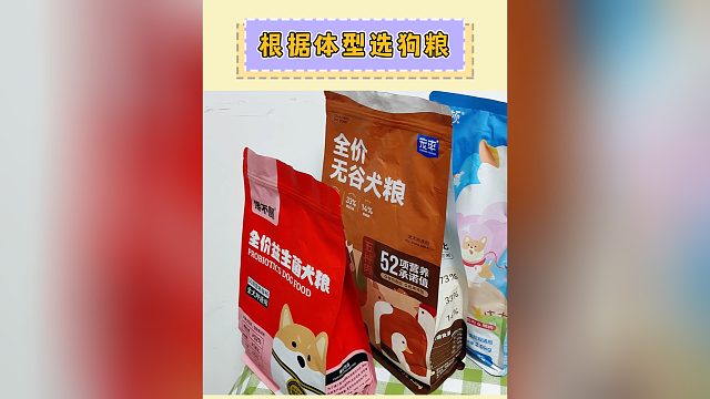 不同体型的狗狗都适合什么狗粮？来对号入座！