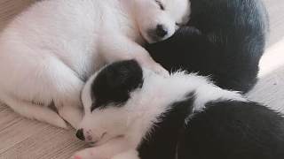 你最喜歡誰(shuí)~~