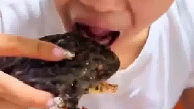 人家吃林蛙，你吃癞稀巴子