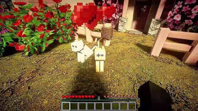 “我还有太多心愿，太多梦没有实现”