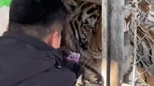 这铁丝网起到什么作用