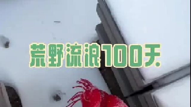 采摘冰激凌