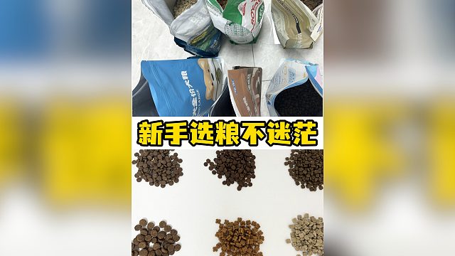新手如何选狗粮？让我告诉你