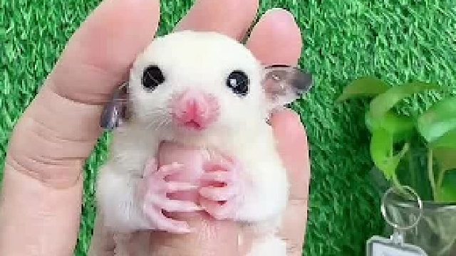 盘蜜啦！这眼线真好看