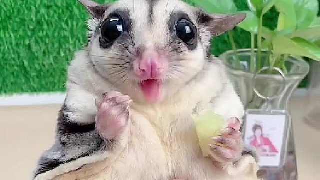 好像吃了又好像没吃