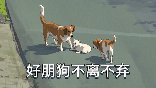 好朋狗不离不弃