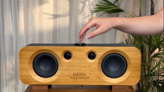 这细节，这沉浸感，真的绝！声浪全景声音响