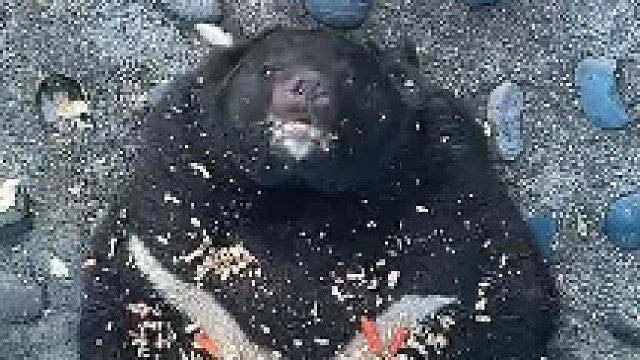 好完美的精神状态