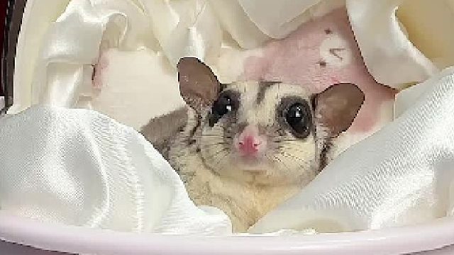 这么漂亮不得拍一张，看镜头