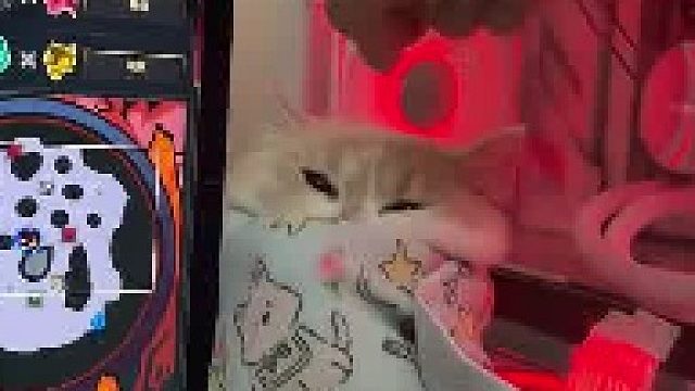 不听话就给脑瓜崩