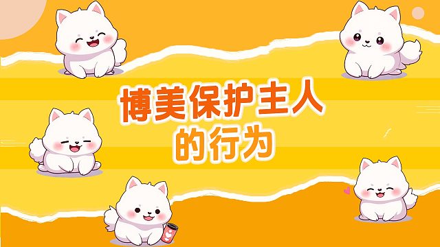 博美守护主人的暖心行为，看完心都化了！