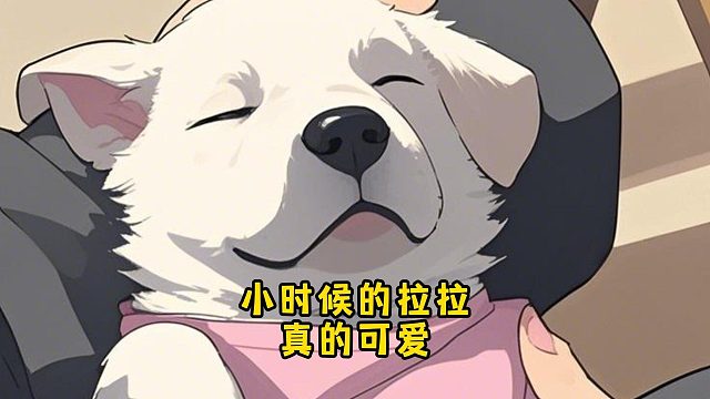 小时候的拉拉真的可爱，像个宝宝一样