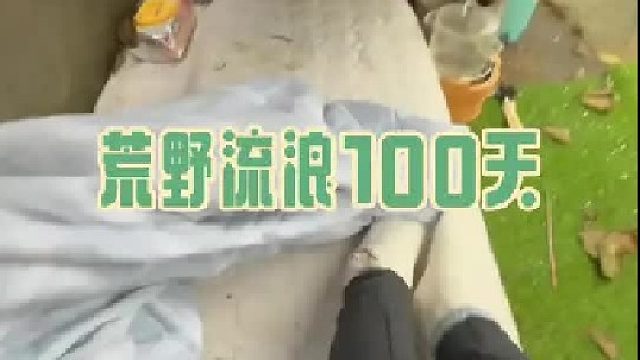 在桃花源遇到下雨天怎么办