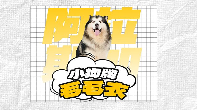 阿拉斯加牌的毛毛衣，谁能拒绝啊！