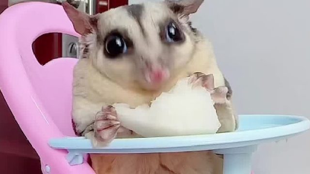 吃啥都跟吃甘蔗一样