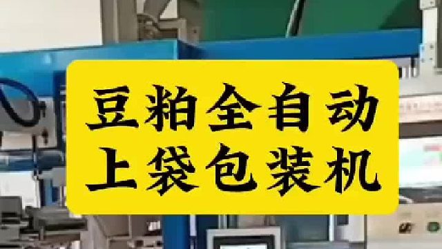 豆粕全自动上袋包装机