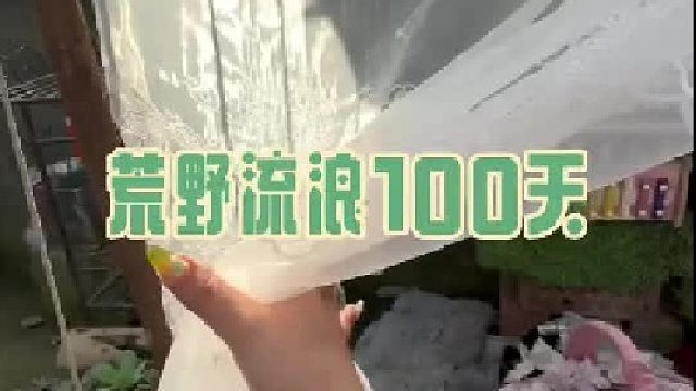 蔷薇之梦的竣工