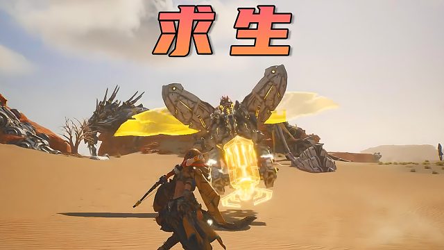 男生减速带之——荒野求生