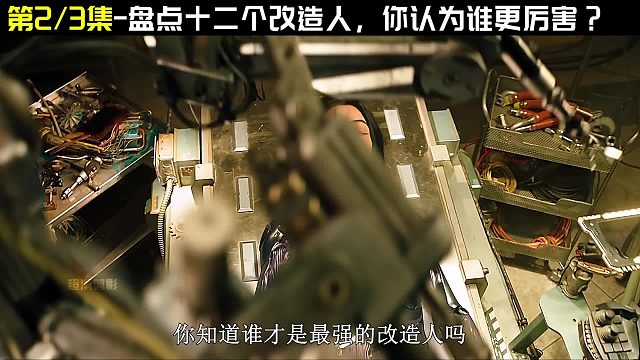 如果十二个改造人有段位？中