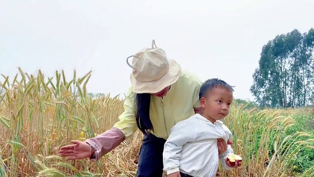 农村爸爸不在家，妈妈带娃下地干活，看看儿子表现如何