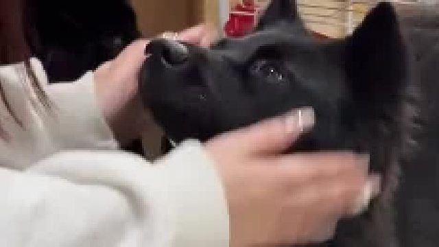 我有个很好很好的朋友兼家人