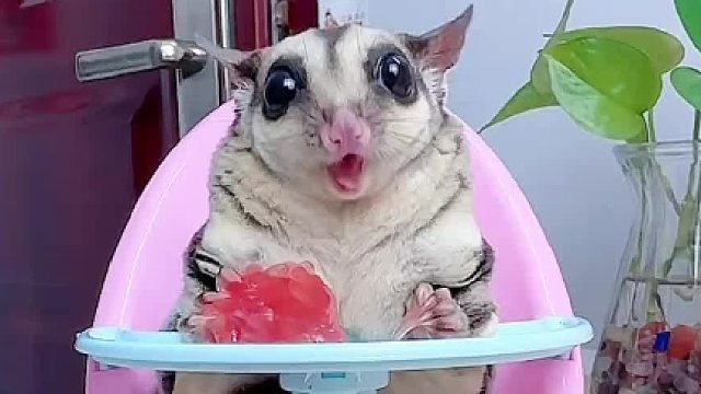 今天吃点简单的