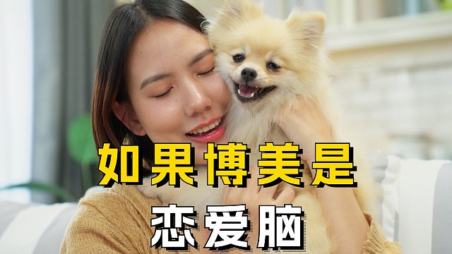 博美一心动就降智，一恋爱就上头！