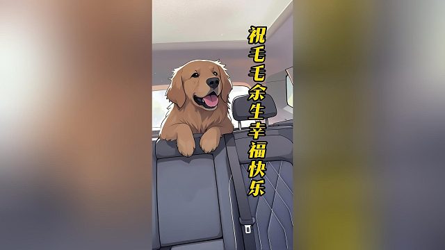 关于我救助了流浪金毛以及领养后续...