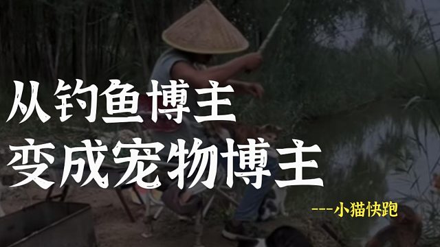 只因好心喂了流浪猫，从此开始每天给它打工