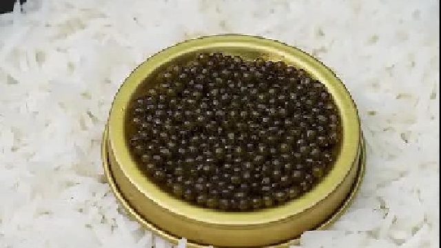 这些花你们都认识吗？