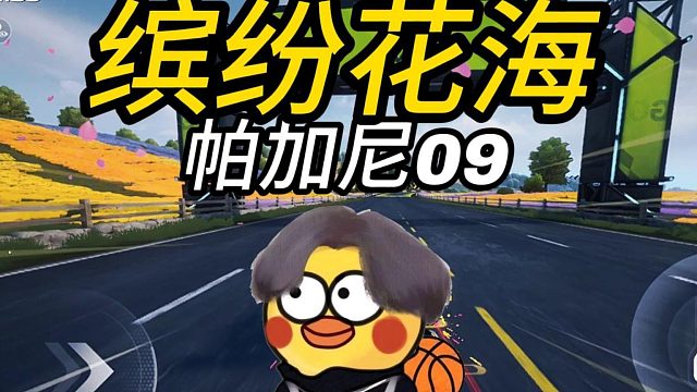【鸡品飞车：启动】缤纷花海帕加尼09