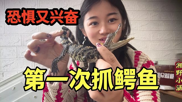 一条鳄鱼可长4米，重400斤，第一次徒手抓，内心恐惧又兴奋！