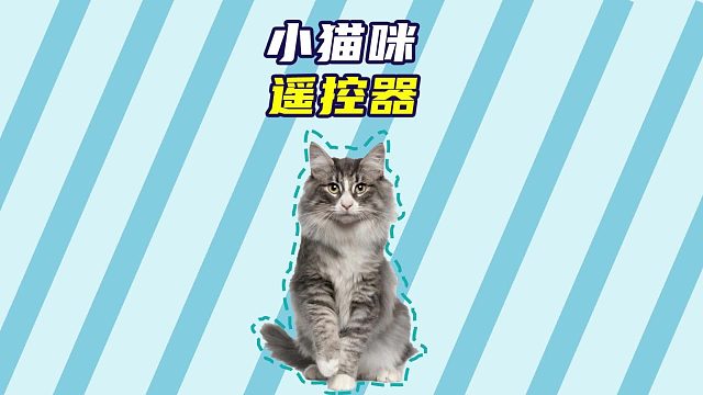 当猫咪的正在睡觉，但它的喂食器响了后