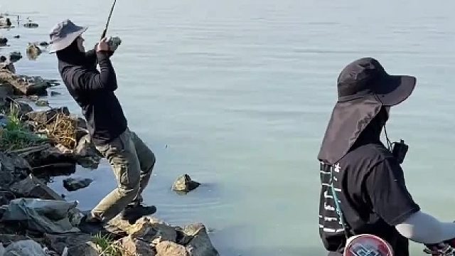 鱼做梦都没想到过还能坐上“快艇”