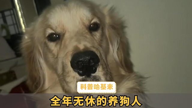 狗狗家长为孩子，就要忍受各种