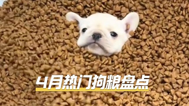 4月份热门狗粮盘点，看你喂的上榜没！