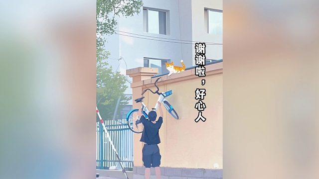 猫咪：谢谢你，好心人