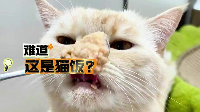 猫咪：这猫饭谁爱吃谁吃！