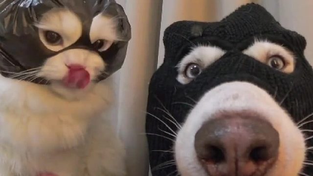 当劫匪决定打劫全世界