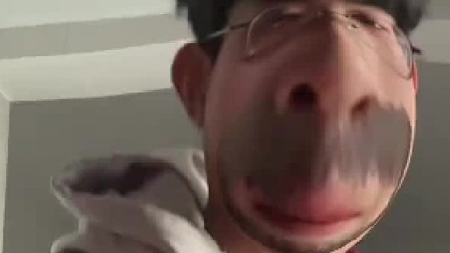 我只看到了一只绝望的土拨鼠