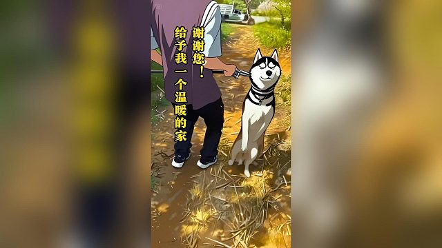 哈士奇被卖去狗肉馆，遇到善良的小哥花1000块带回家