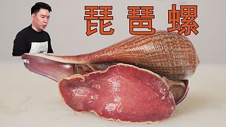 花幾百塊錢買的大琵琶螺，牙能被崩掉幾個(gè)，中看不中用