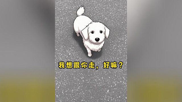 想要跟你的小狗