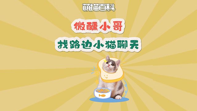 猫：真服了，大半夜碰到一个人机
