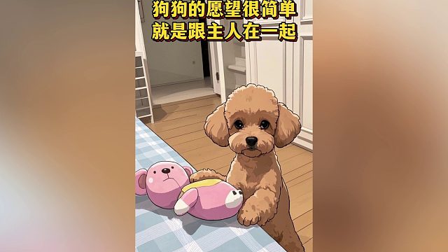 狗狗的愿望很简单就是跟主人一起！