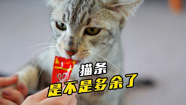 都这样了，那猫条有什么用？