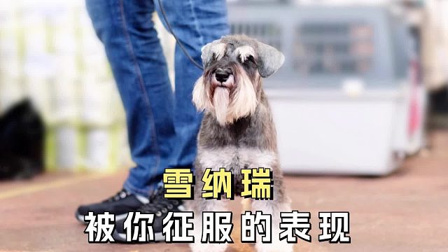 被你征服的小雪，会有这些举动！