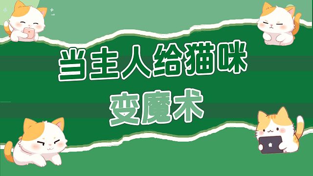猫咪：难道主人真的会魔法？